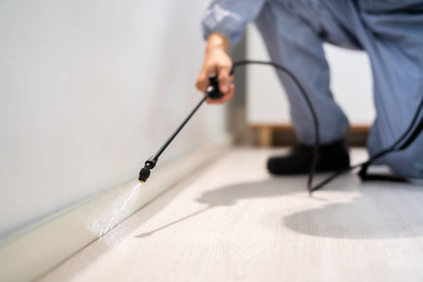 Licensed Fumigation Services service in Grape Creek, TX - Nex Pest Control