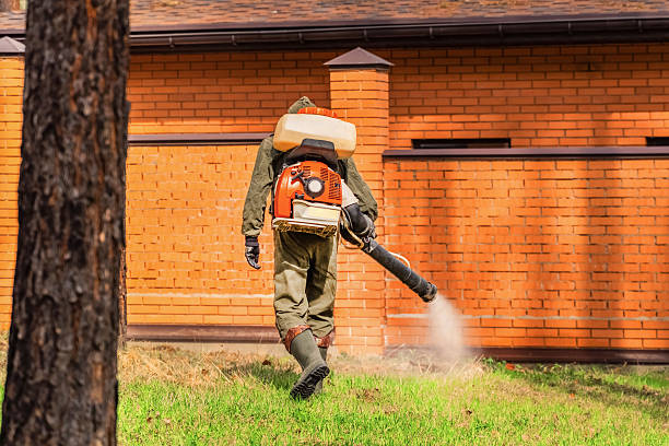 Trusted Cockroach Control service in Grape Creek, TX - Nex Pest Control